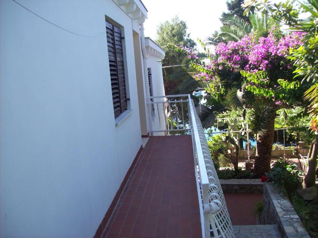 Captain'S Villa Molunat Cameră foto